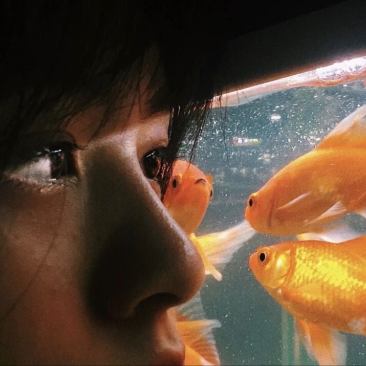 Add 프로필 이미지