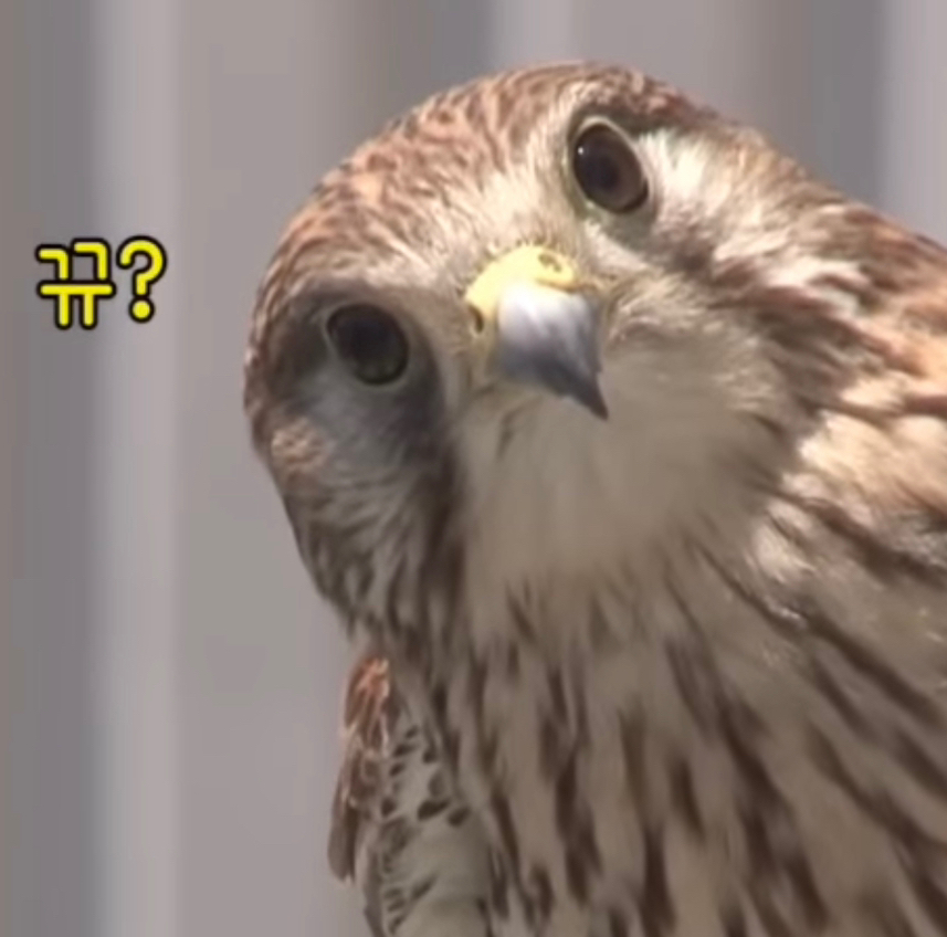 작성자 프로필 이미지