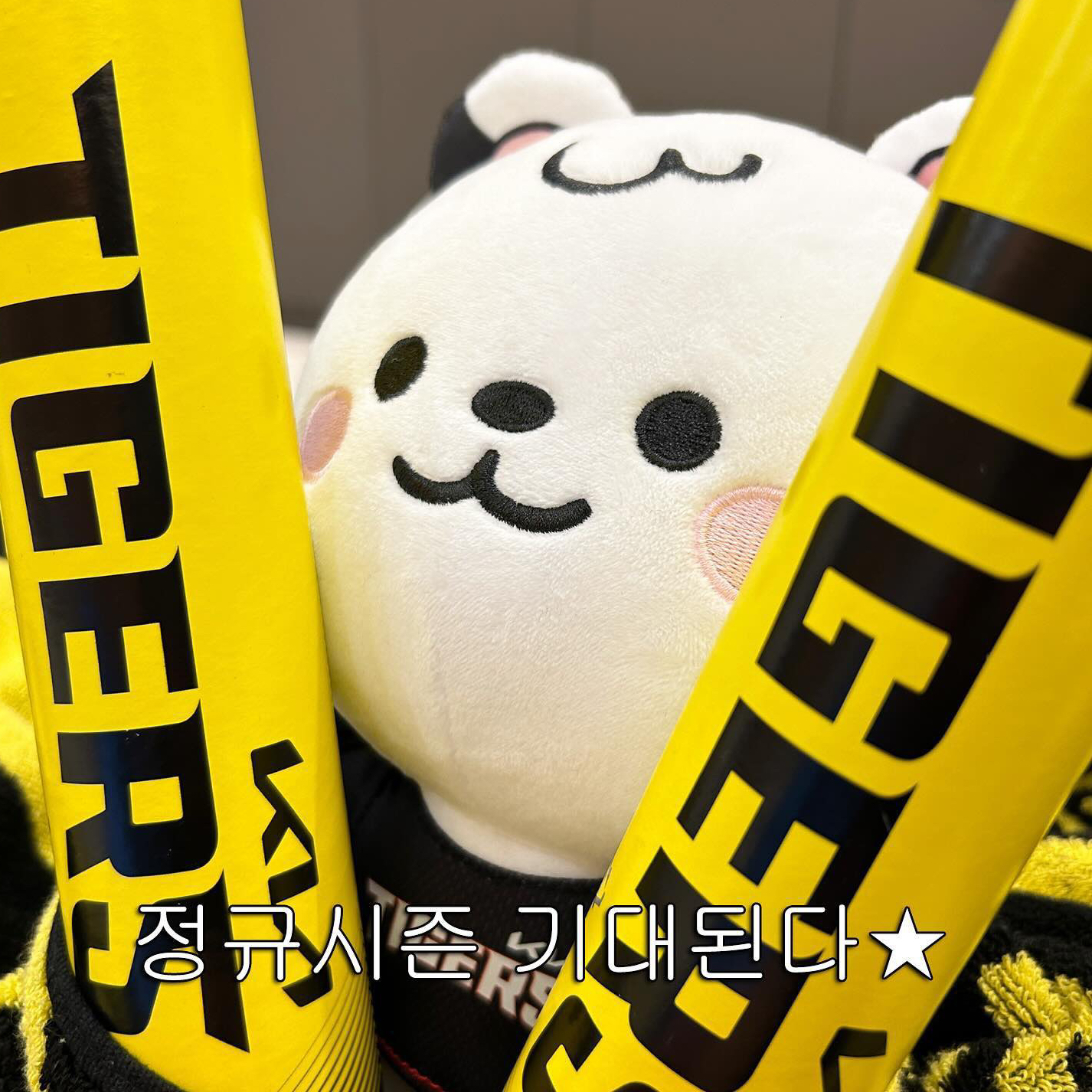 작성자 프로필 이미지