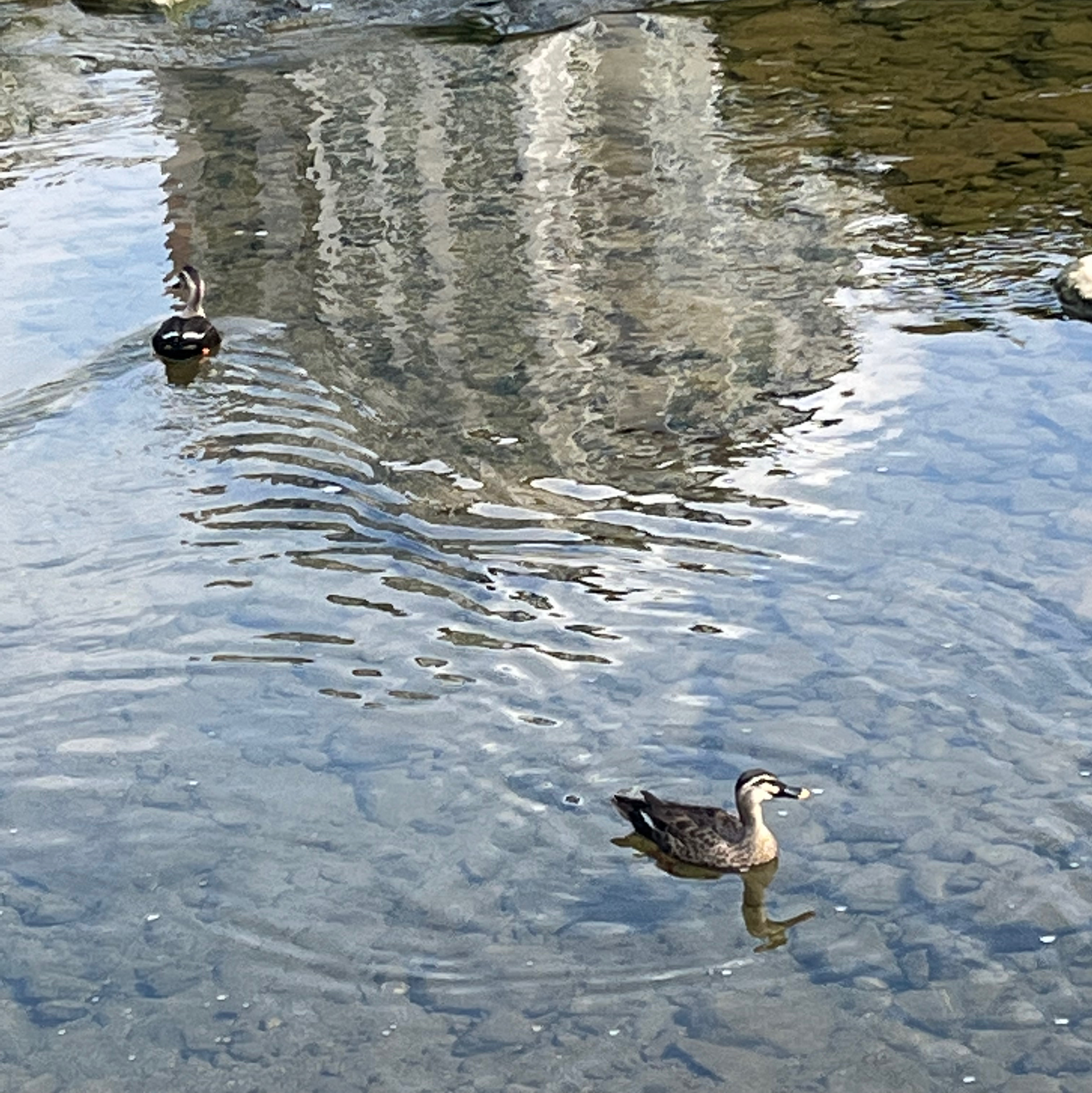 테이블 소개 이미지