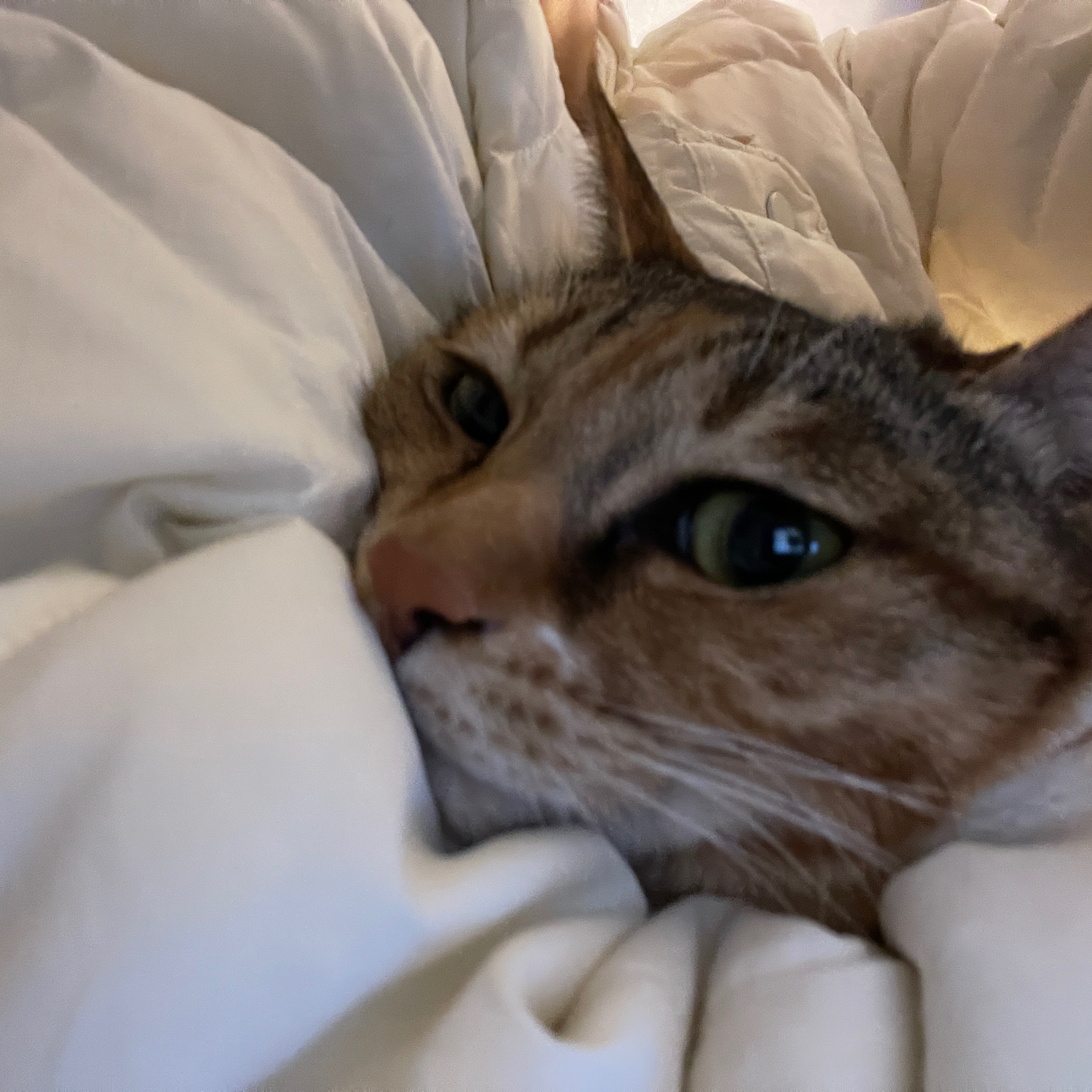 테이블 소개 이미지