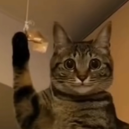 테이블 소개 이미지