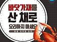산 채로 끓는 물에 넣어지는 바닷가재 고통 아시나요 | 인스티즈