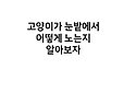 웃기냥 on Twitter