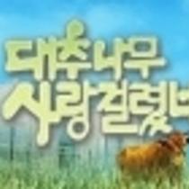 순자<대추나무 사랑걸렸네 등장 인물 관계도>