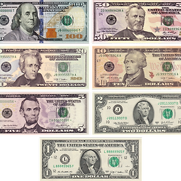 미국 달러(Dollar)