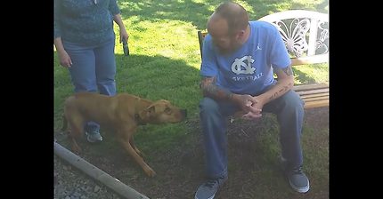 23kg 빠진 반려인을 5주만에 만난 큰댕댕이 | 인스티즈