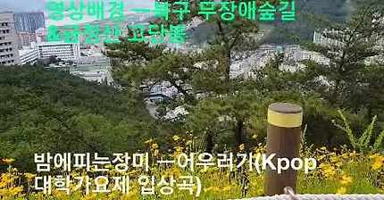어우러기 이미지