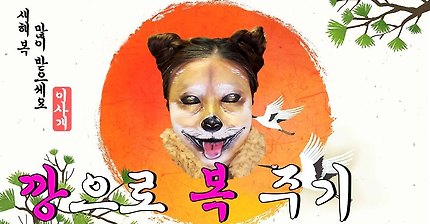 이사배 2018년 황금개 메이크업 (진짜개주의) | 인스티즈