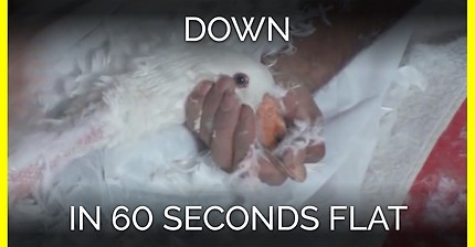 아 롱패딩 살건데 걍..따뜻한거 아무거나 사도 되겠지? 이쁜걸로 ㅎㅎ | 인스티즈