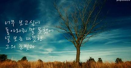 벌써 1년 아닌 벌써 17년 | 인스티즈