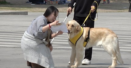 강아지에게 길을 알려달라고 한다면 사람들은 알려줄까? 몰래카메라 (유튜브 수상한녀석들) | 인스티즈