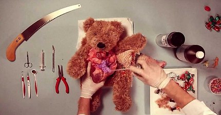 테디의 수술 | 인스티즈