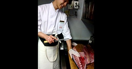 죽지않는 생선 (혐오주의) | 인스티즈