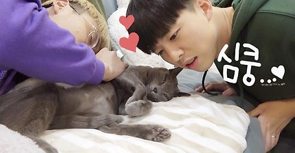 이게 바로 고양이 키우고 싶은 자들의 로망...!(with. 유투버 손님들) | 인스티즈