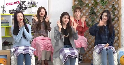 레드벨벳 셀럽티비 방송링크.swf | 인스티즈