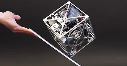 와류에 걸린 물고기들 | 인스티즈