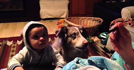 Dog says mama and baby can't