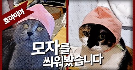 심장에 너무나 해로운 영상 | 인스티즈