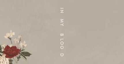 션 멘데스 신곡 - In My Blood | 인스티즈