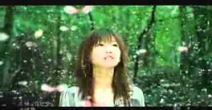 싸이월드 좀 해 본 사람들은 아는 외국 노래들 모음 | 인스티즈