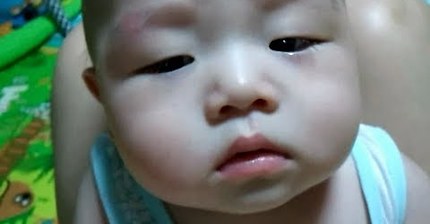 염소소리가 무서운 아기 | 인스티즈