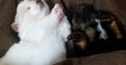 이불을 열었더니..... | 인스티즈