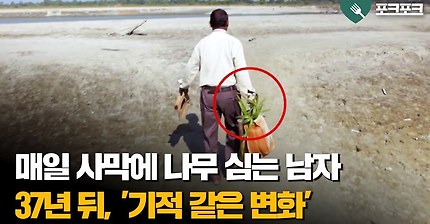 사막에 나무 심는다고 나무가 자라겠냐 ㅋ | 인스티즈