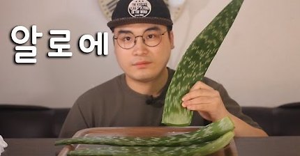 껍진째 먹는 알로에 맛있게 먹는영상 | 인스티즈