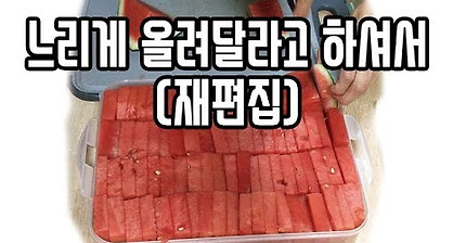 [ENG Sub] 우리 집 수박 자르는 법 2탄 ('Another way to slice watermelon' re-edited)