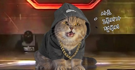 쇼미더머니 나간 고양이ㅋㅋㅋㅋㅋㅋ | 인스티즈