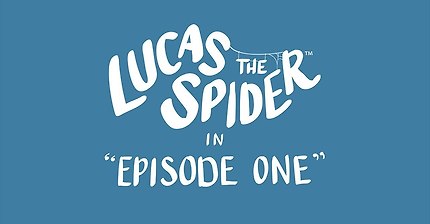 짱귀여운 거미 루카스ㅠㅠㅠ(하트백개) (거미 주의) | 인스티즈