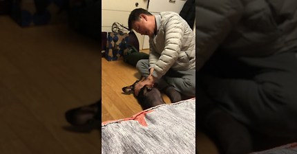 아버지는 강아지가 싫다고 하셨어 | 인스티즈