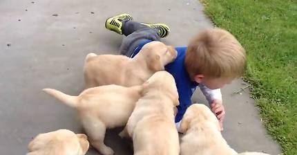 인절미들의 공격 ㅠㅠㅠㅠㅠ | 인스티즈