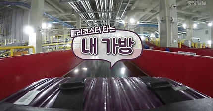 인천공항에서 롤러코스터 타는 내 가방 | 인스티즈