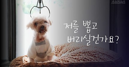  사람들이 홍대에서 인형을 뽑다 우는 이유는? | 인스티즈