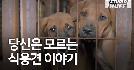 살아있을 때만이라도 깨끗한 물과 밥을 주는게 어렵나요? | 인스티즈