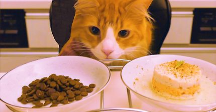 집사의 정성 | 인스티즈