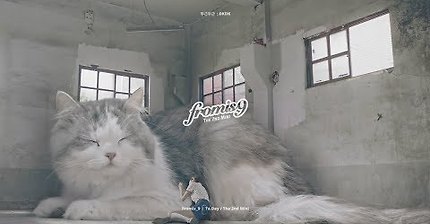 프로미스 나인 신곡 두근두근(DKDK) M/V | 인스티즈