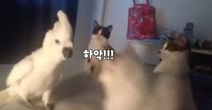 설날 아침에는 | 인스티즈