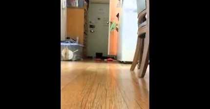 흔한 남매의 싸움 (누나 그거알아? 손은 눈보다 빨라) | 인스티즈