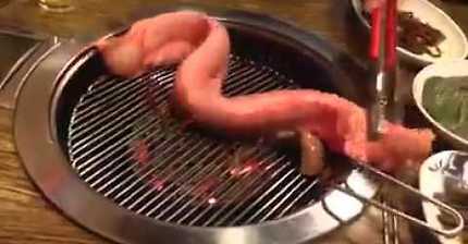 산채로.,..... (시룸주의) | 인스티즈