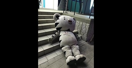 술취한 수호랑 | 인스티즈