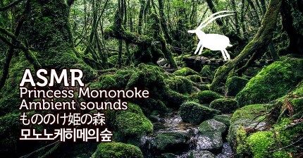ASMR Princess Mononoke 3D Ambient Sounds | 모노노케히메의 숲 입체 음향 | もののけ?の森 | 원령공주