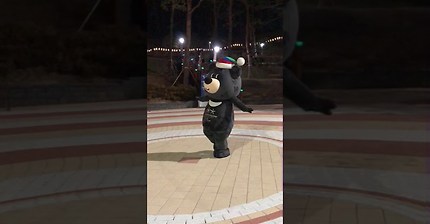 피땀눈물 추는 반다비 | 인스티즈