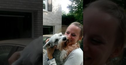 2년만에 주인만나고 기절한 강아지 | 인스티즈