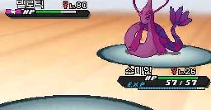 레벨 1 포켓몬으로 신오 챔피언 난천 격파하기 | 인스티즈