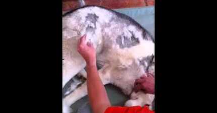 ??? : 에이 털매라니 ㅋㅋ 웹툰이 과장이 심하네 | 인스티즈