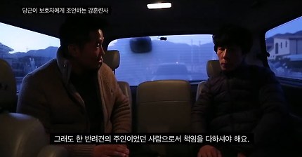 방영후 논란이 돼 강훈련사 조언 비공개 영상을 공개한 세나개 | 인스티즈