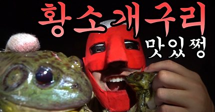 황소개구리 뽐뿌오게 하는 영상(혐오주의) | 인스티즈